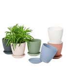 Virago 3.5" Porcelain Pot With Drainage Hole And Saucer - Chive US Wholesale