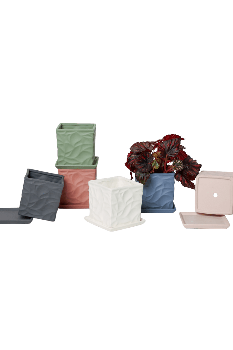 Virago 3.5" Porcelain Pot With Drainage Hole And Saucer - Chive US Wholesale