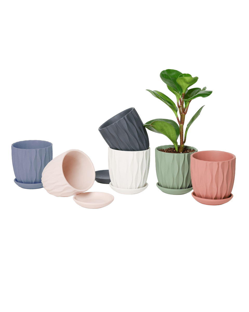 Virago 3.5" Porcelain Pot With Drainage Hole And Saucer - Chive US Wholesale