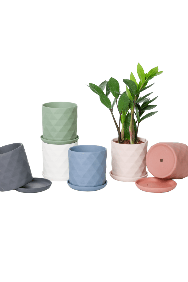 Virago 3.5" Porcelain Pot With Drainage Hole And Saucer - Chive US Wholesale