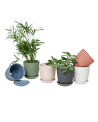 Virago 3.5" Porcelain Pot With Drainage Hole And Saucer - Chive US Wholesale