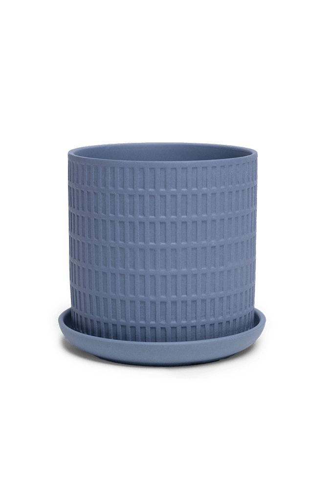 Virago 3.5" Porcelain Pot With Drainage Hole And Saucer - Chive US Wholesale