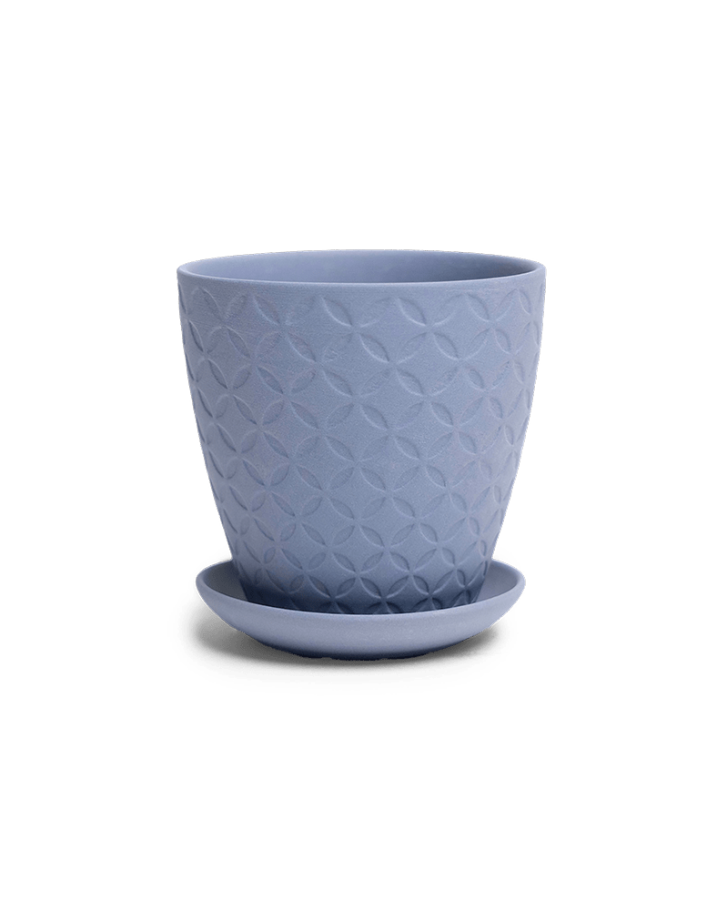 Virago 3.5" Porcelain Pot With Drainage Hole And Saucer - Chive US Wholesale