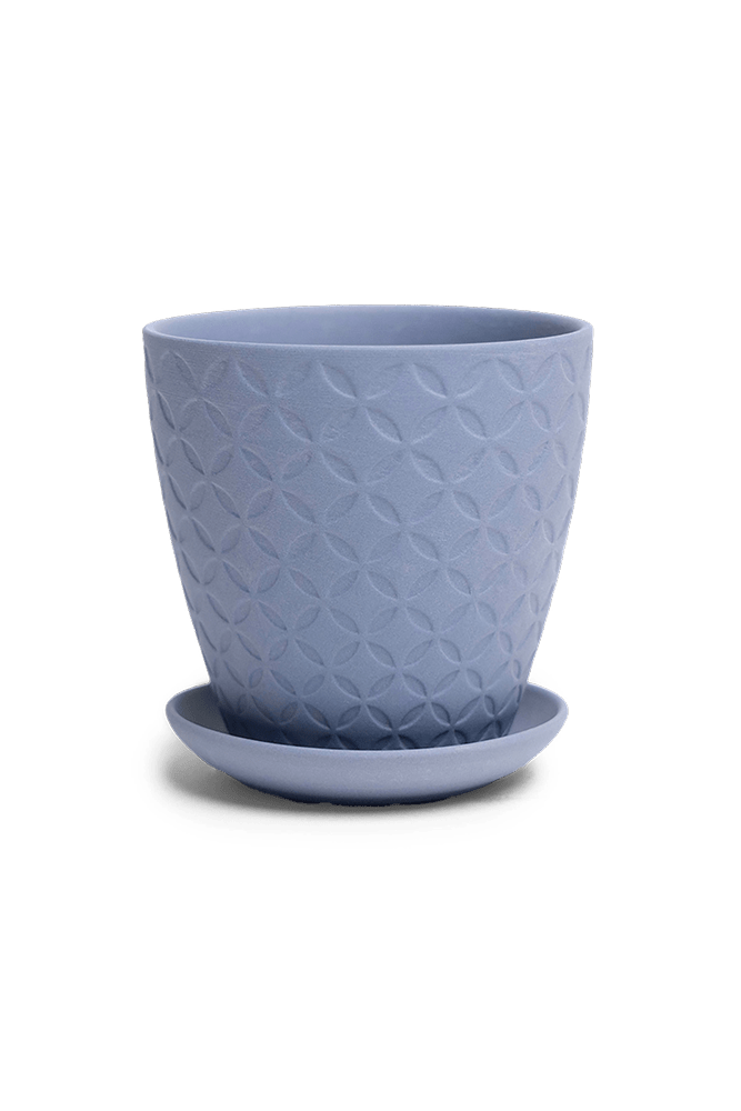 Virago 3.5" Porcelain Pot With Drainage Hole And Saucer - Chive US Wholesale