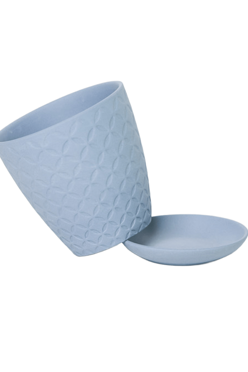 Virago 3.5" Porcelain Pot With Drainage Hole And Saucer - Chive US Wholesale