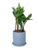 Virago 3.5" Porcelain Pot With Drainage Hole And Saucer - Chive US Wholesale