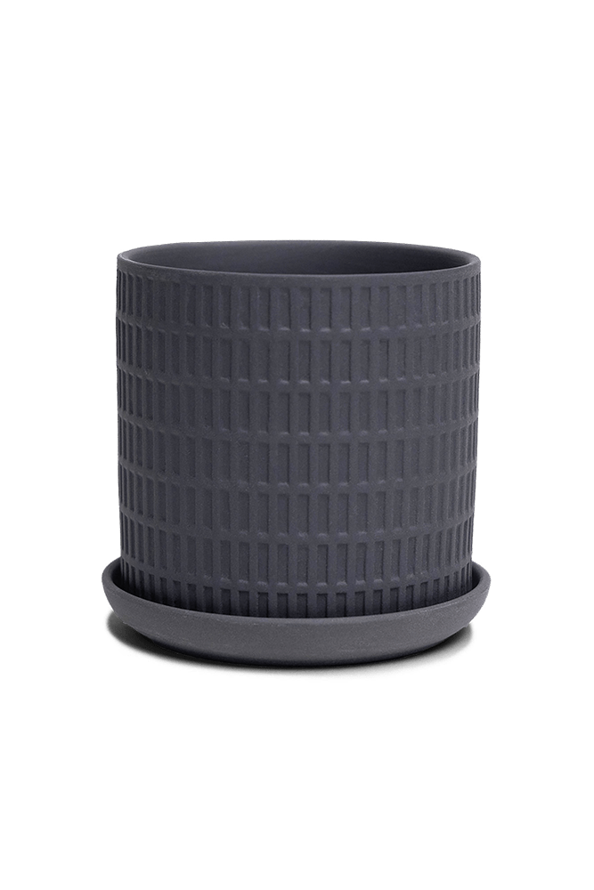 Virago 3.5" Porcelain Pot With Drainage Hole And Saucer - Chive US Wholesale