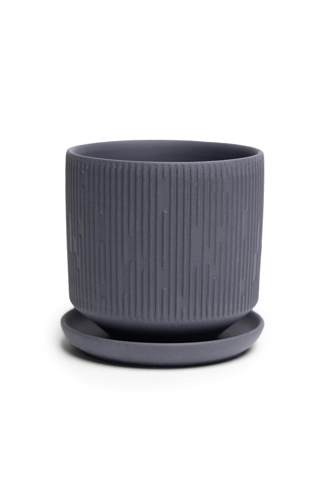 Virago 3.5" Porcelain Pot With Drainage Hole And Saucer - Chive US Wholesale