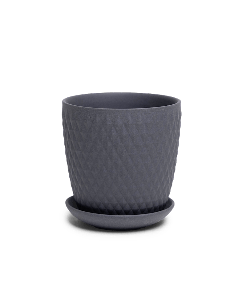 Virago 3.5" Porcelain Pot With Drainage Hole And Saucer - Chive US Wholesale
