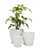 Virago Shape E Pot And Saucer 54pc Kit - Large Classics - Chive US Wholesale