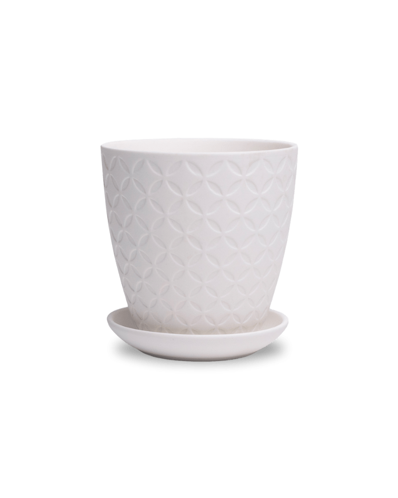 Virago 3.5" Porcelain Pot With Drainage Hole And Saucer - Chive US Wholesale