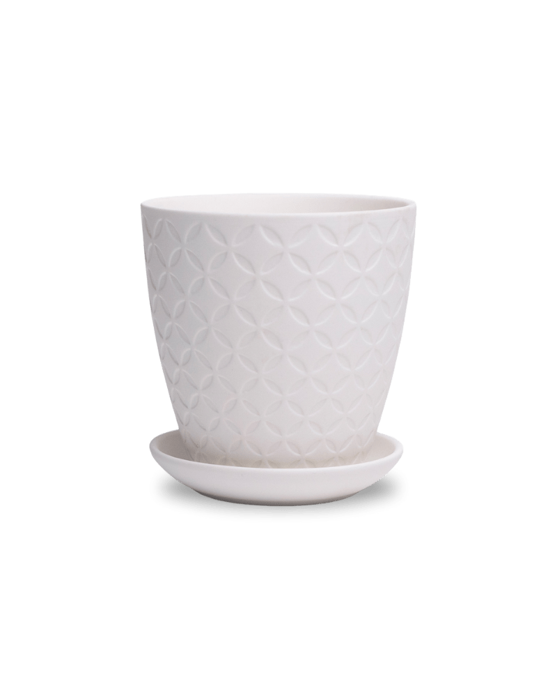 Virago 3.5" Porcelain Pot With Drainage Hole And Saucer - Chive US Wholesale