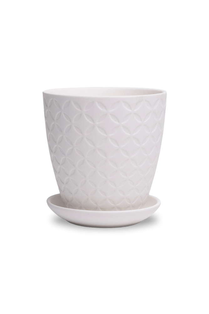 Virago 3.5" Porcelain Pot With Drainage Hole And Saucer - Chive US Wholesale