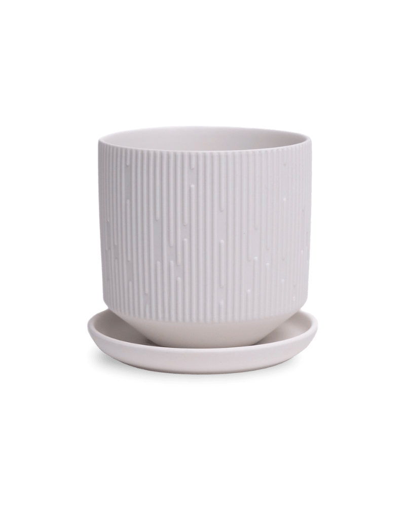 Virago 3.5" Porcelain Pot With Drainage Hole And Saucer - Chive US Wholesale