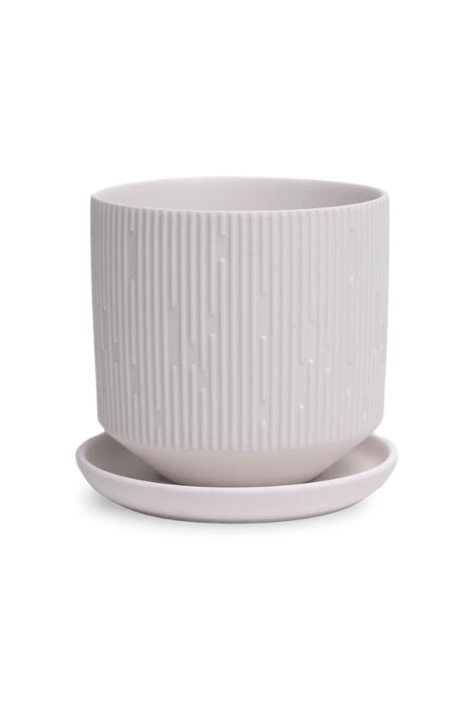 Virago 3.5" Porcelain Pot With Drainage Hole And Saucer - Chive US Wholesale