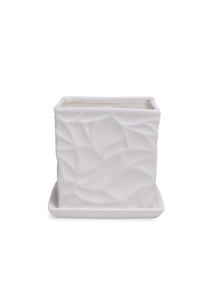 Virago 3.5" Porcelain Pot With Drainage Hole And Saucer - Chive US Wholesale