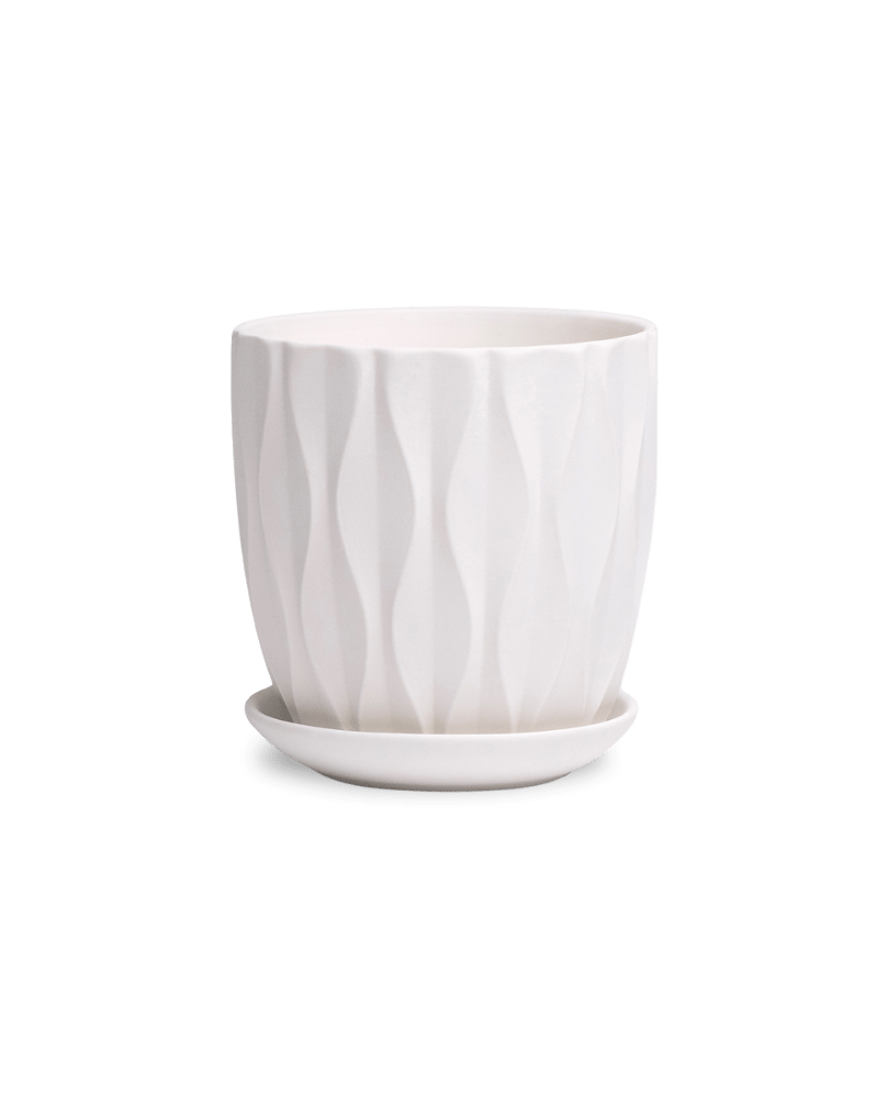 Virago 3.5" Porcelain Pot With Drainage Hole And Saucer - Chive US Wholesale