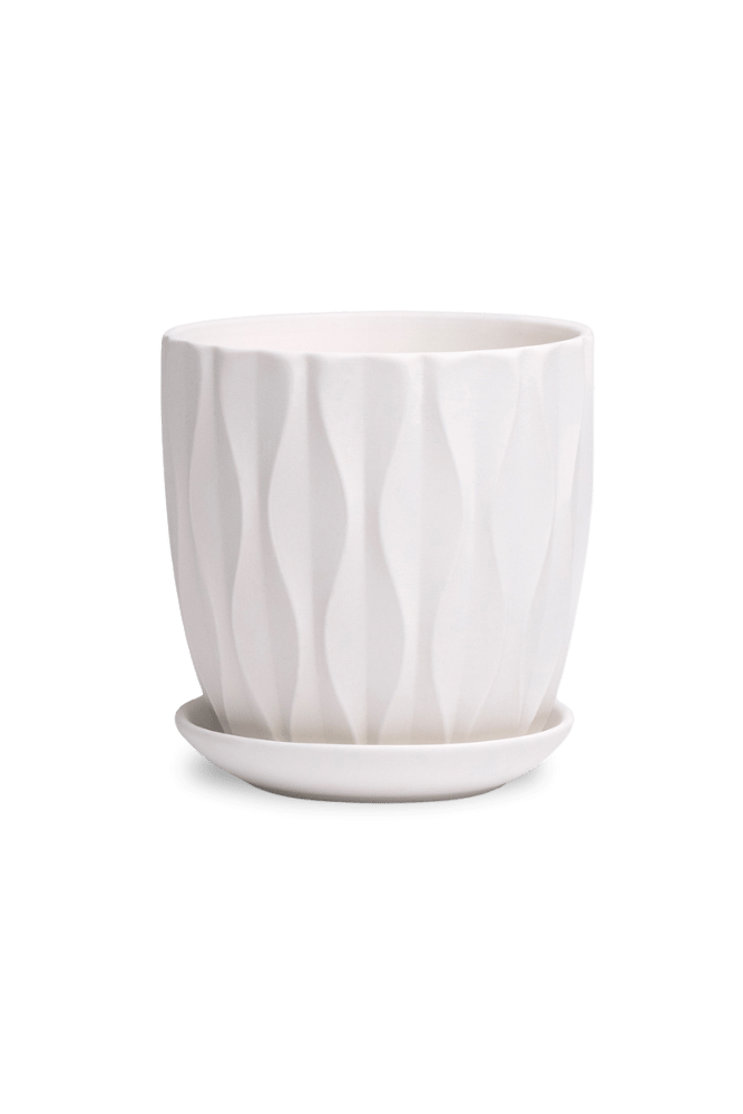 Virago 3.5" Porcelain Pot With Drainage Hole And Saucer - Chive US Wholesale