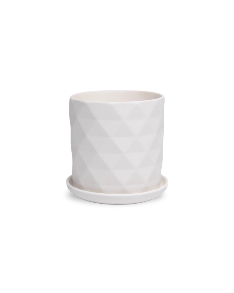 Virago 3.5" Porcelain Pot With Drainage Hole And Saucer - Chive US Wholesale