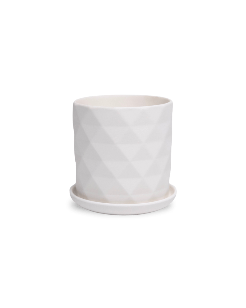 Virago 3.5" Porcelain Pot With Drainage Hole And Saucer - Chive US Wholesale