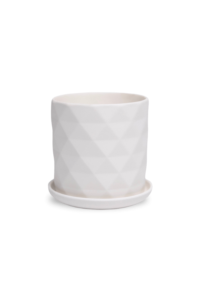 Virago 3.5" Porcelain Pot With Drainage Hole And Saucer - Chive US Wholesale