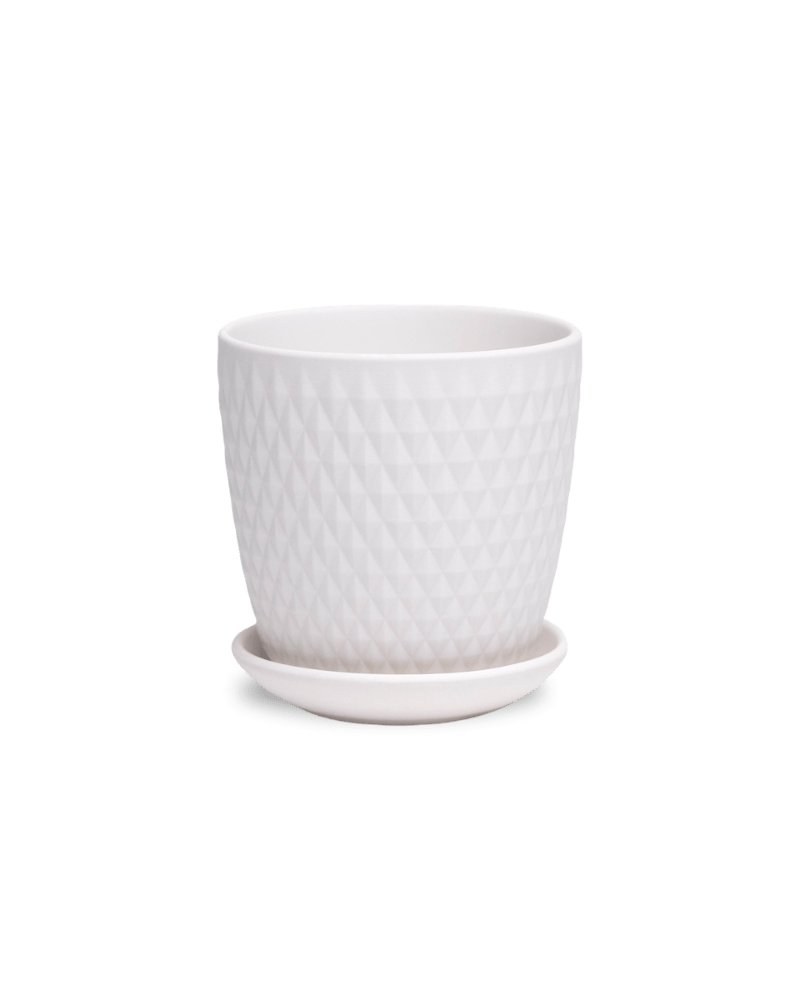 Virago 3.5" Porcelain Pot With Drainage Hole And Saucer - Chive US Wholesale
