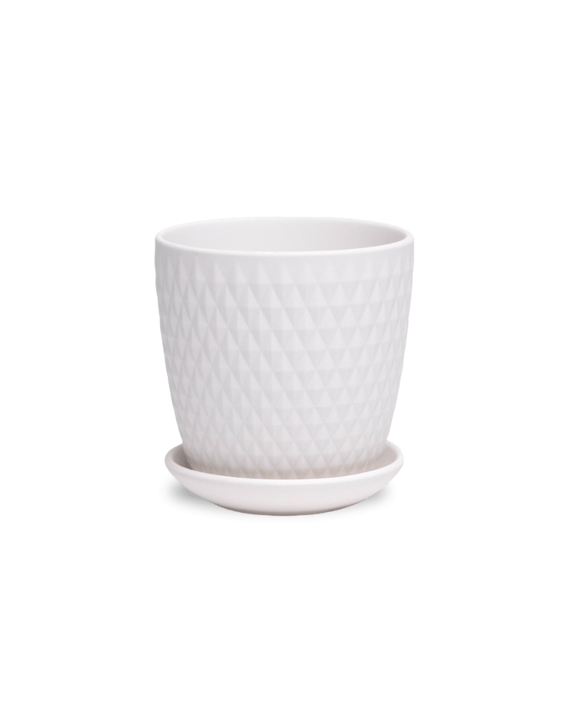 Virago 3.5" Porcelain Pot With Drainage Hole And Saucer - Chive US Wholesale