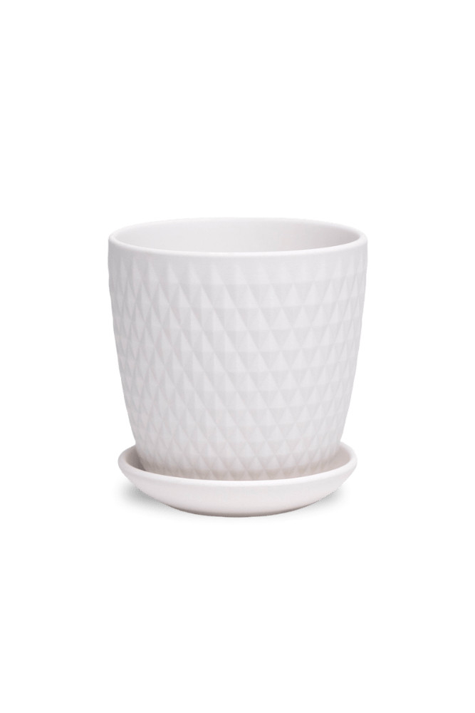 Virago 3.5" Porcelain Pot With Drainage Hole And Saucer - Chive US Wholesale