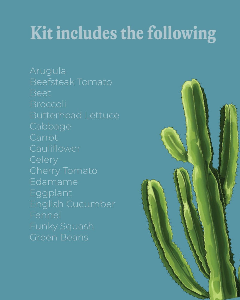 Vegetable Seeds Packets - 96pc Assortment 2 - Chive US Wholesale