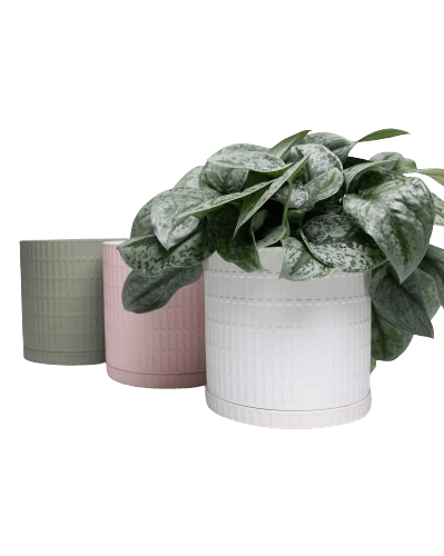 Virago Porcelain Pot With Drainage Hole And Saucer Sets - Chive US Wholesale