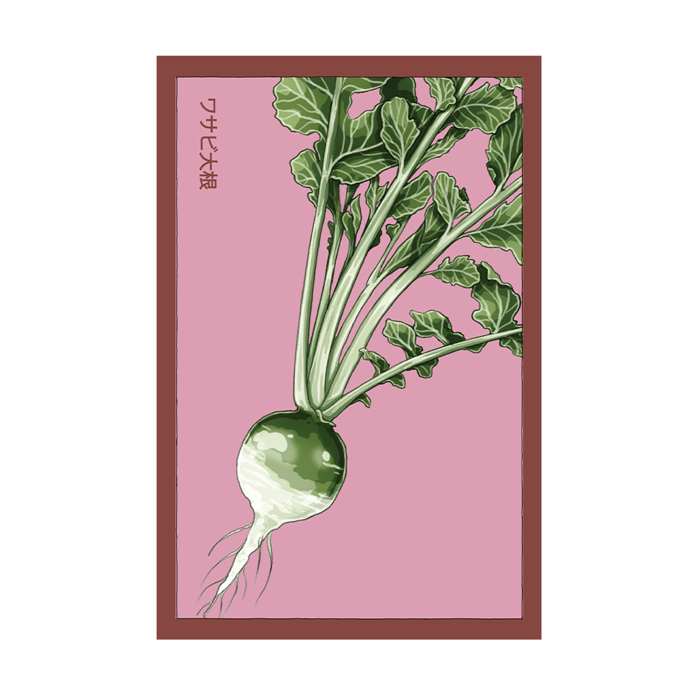 Wasabi Radish Vegetable Seeds Packet - Chive US Wholesale