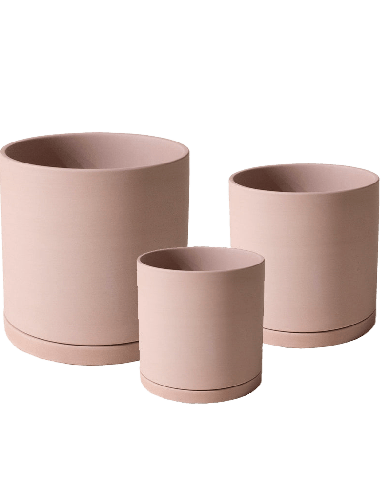 Dojo Porcelain Modern Indoor Plant Pot With Saucer Sets - Chive US Wholesale