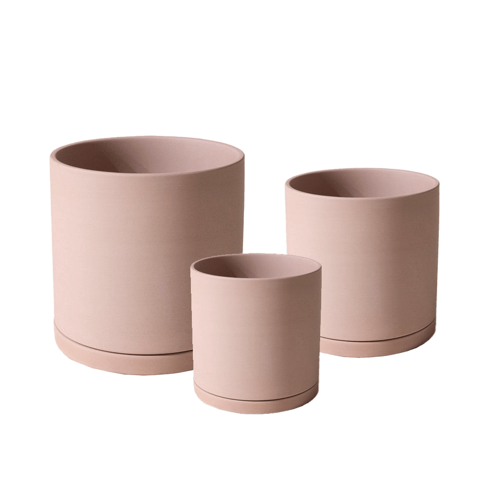 Dojo Porcelain Modern Indoor Plant Pot With Saucer Sets - Chive US Wholesale