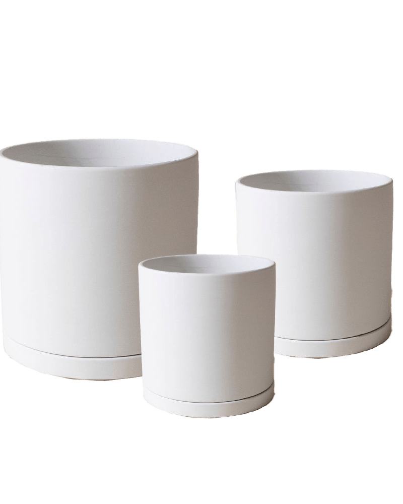 Dojo Porcelain Modern Indoor Plant Pot With Saucer Sets - Chive US Wholesale