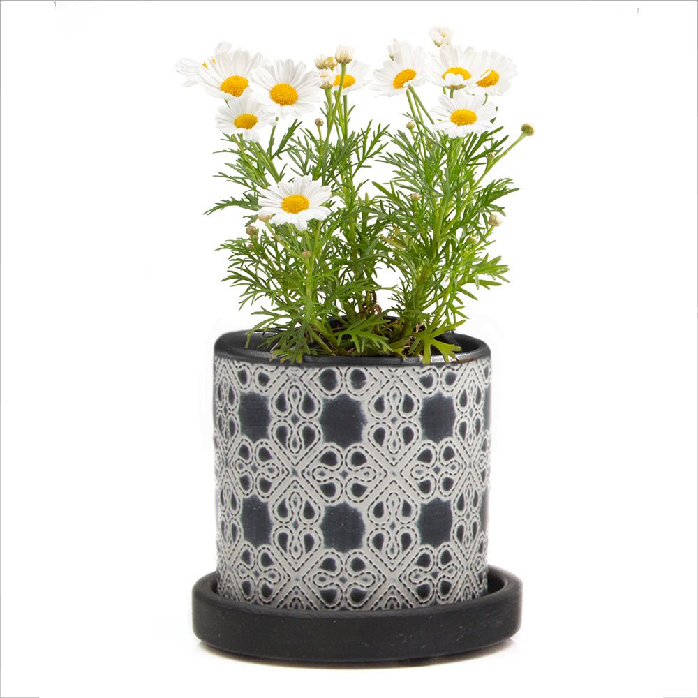 Balter Ceramic Pot And Saucer Kits - Chive US Wholesale
