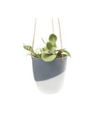 Bobbin Porcelain Modern Hanging Indoor Plant Pot - Chive US Wholesale