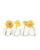 Caterpillar Glass Modern Clear Flower Vase - Chive US Wholesale