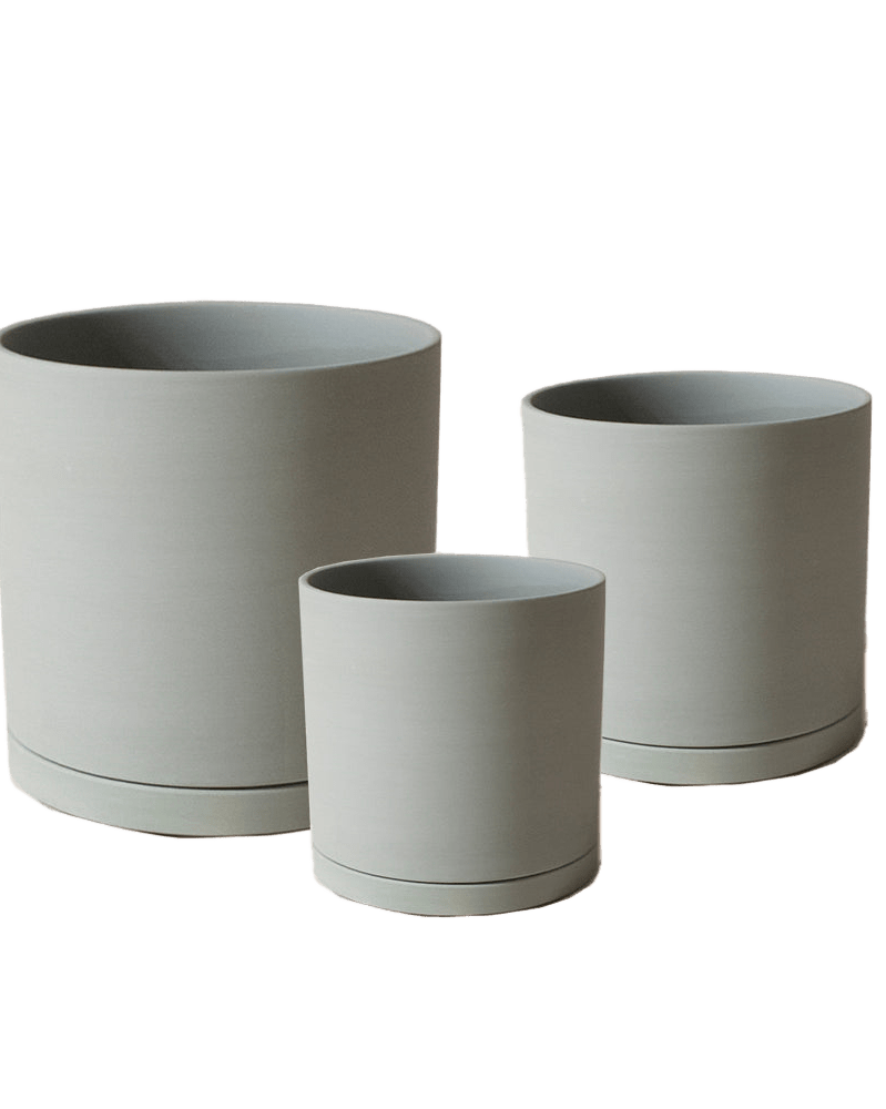 Dojo Porcelain Modern Indoor Plant Pot With Saucer Sets - Chive US Wholesale