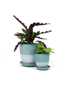 Dyad Porcelain Modern Indoor Plant Pot With Saucer - Chive US Wholesale