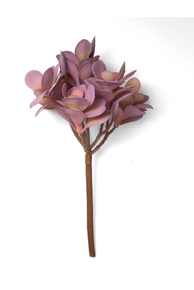 Premium Artificial Succulents - Lifelike Botanical Decor - Chive US Wholesale