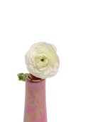 Galaxy Ceramic Bud Vase For Flowers - Chive US Wholesale