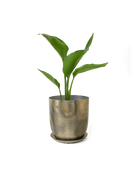Joe Metal Pot With Drainage Hole - Chive US Wholesale