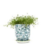 Liberte Porcelain Pot And Saucer Set With Drainage - Chive US Wholesale