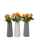 Olmstead Porcelain Bud Vase - Chive US Wholesale