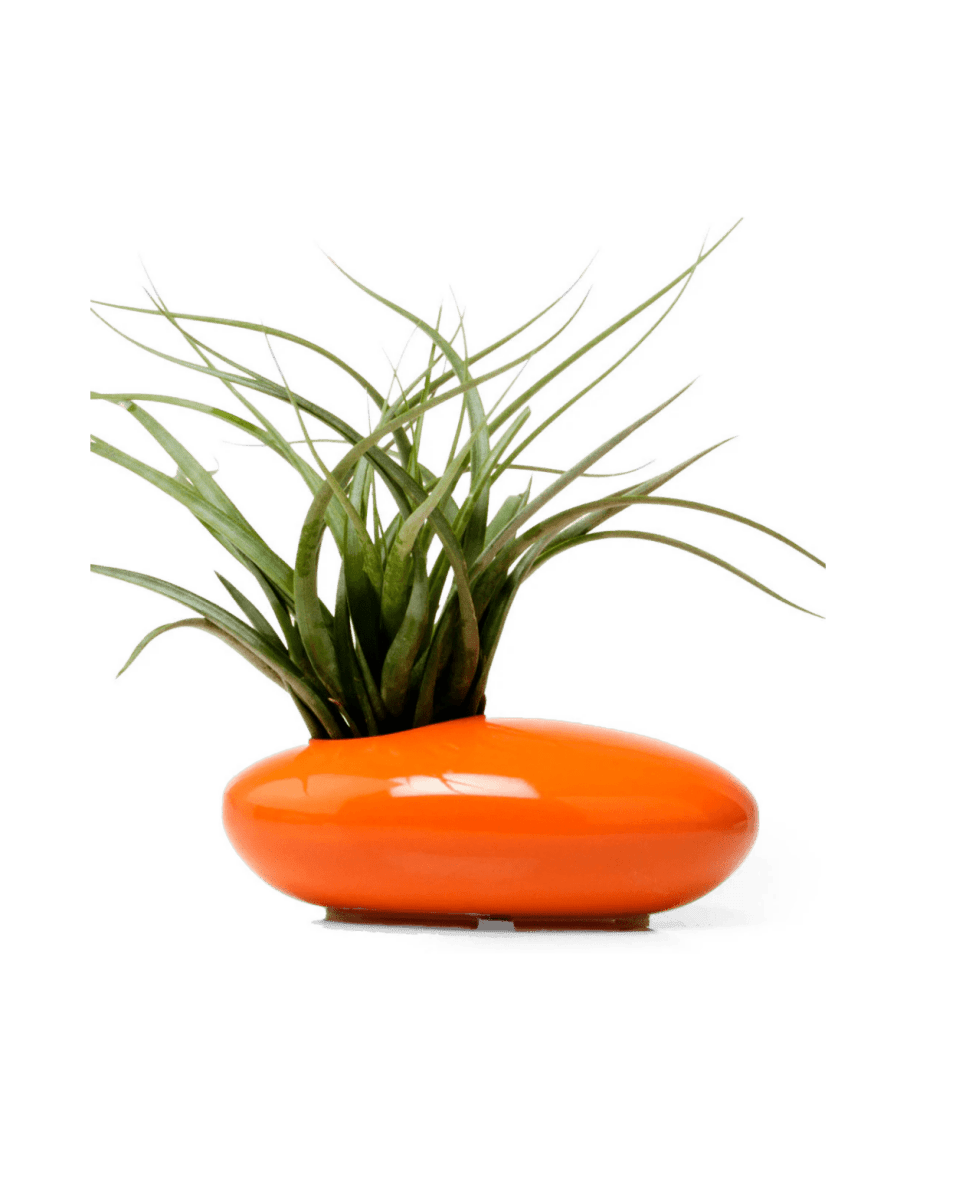 Pebble Ceramic Ikebana Kenzan Container - Chive US Wholesale