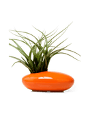 Pebble Ceramic Ikebana Kenzan Container - Chive US Wholesale