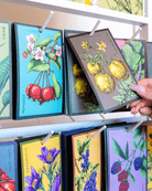 Shido Seed Rack Kit - 3,024 pcs - Chive US Wholesale