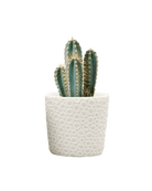 Stagma Resin Planter Pot - Chive US Wholesale