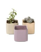 Svek Ceramic Indoor Succulent Pot - Chive US Wholesale