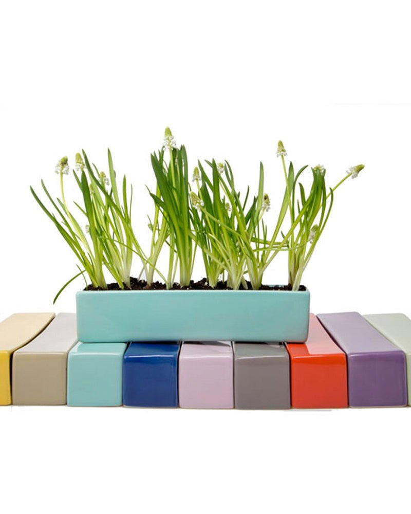 Wall Brick Planter 24pc Kit - Packers Choice - Chive US Wholesale